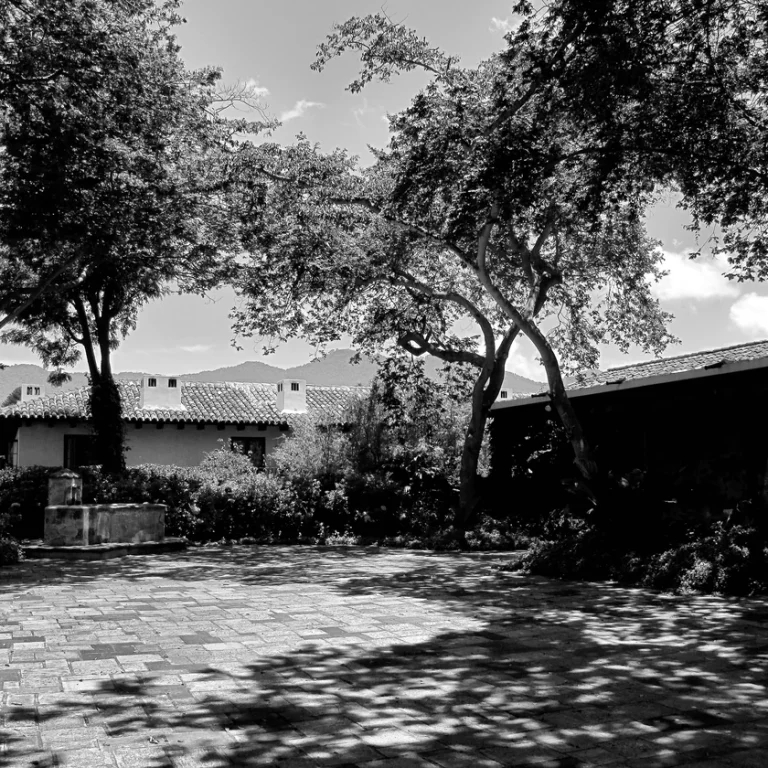 Trees, low walls and paving in the courtyard of Hotel Casa Santo Domingo